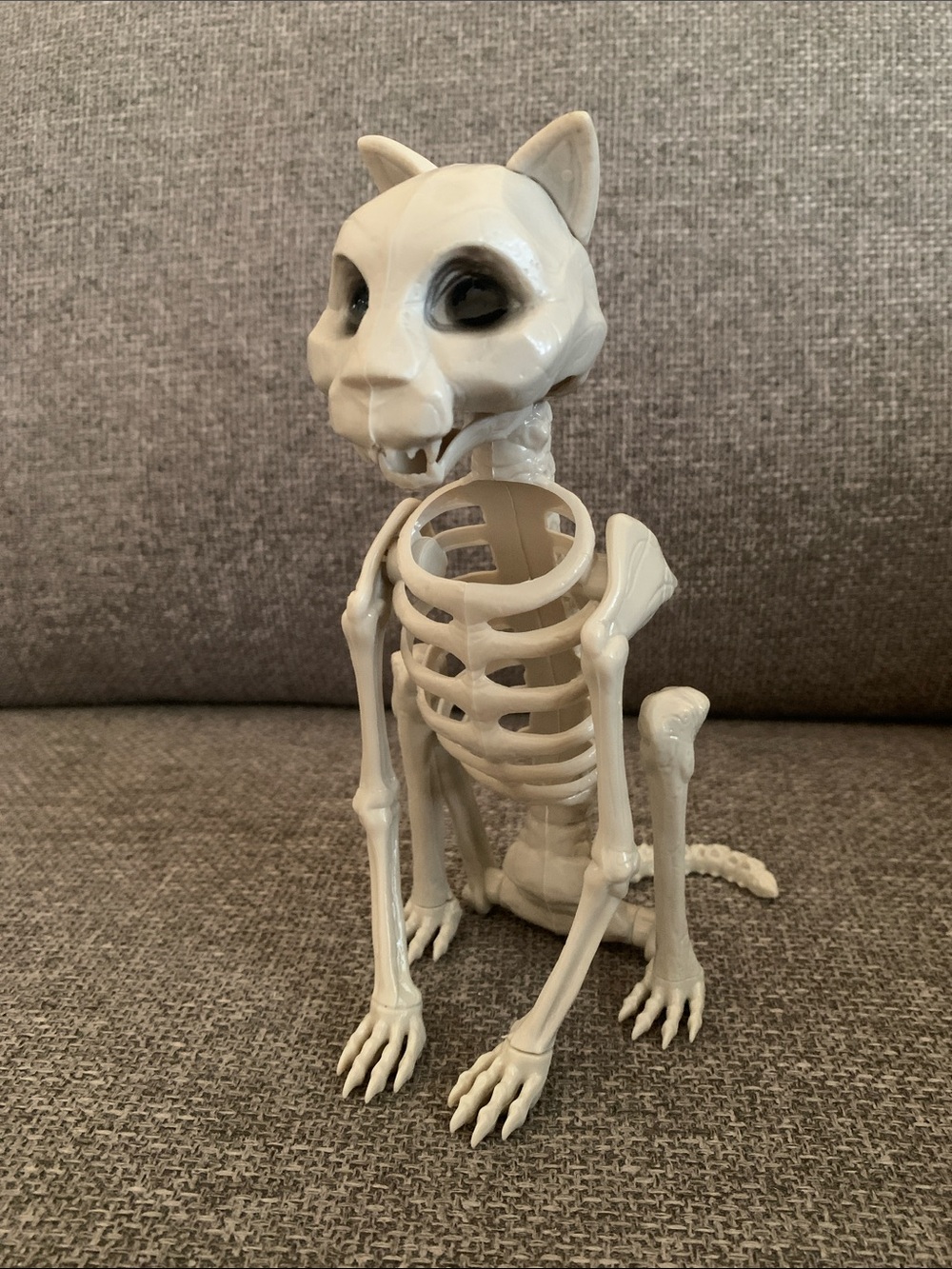 7” Skeleton Cat Halloween Decor Accessory